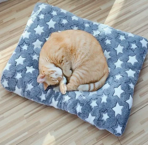 Nuzzle Nest