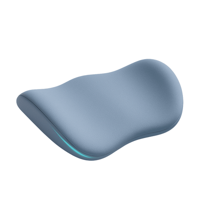 Ergonomic LumbarPillow 1.0