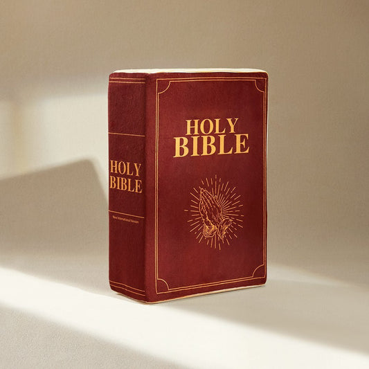 The Bible Pillow