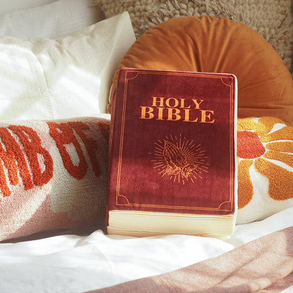 The Bible Pillow