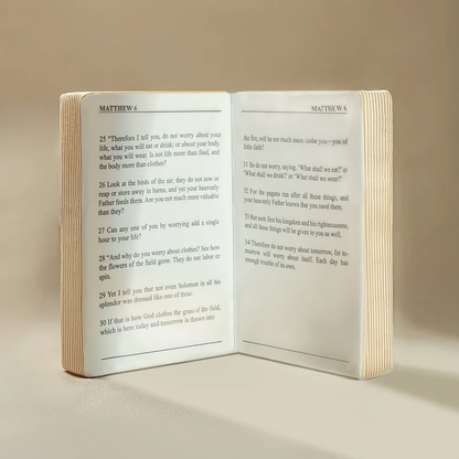The Bible Pillow
