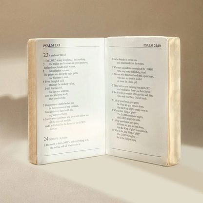 The Bible Pillow
