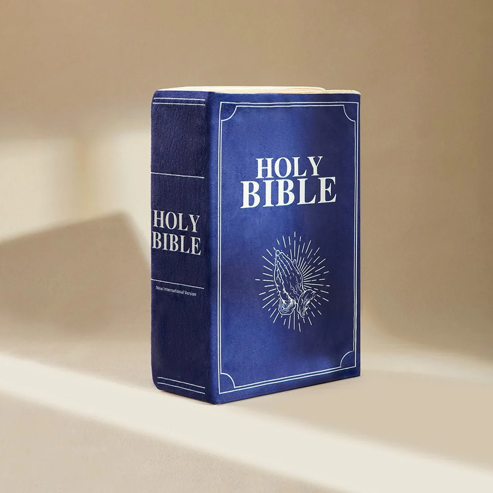 The Bible Pillow