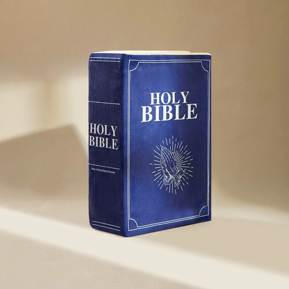 The Bible Pillow
